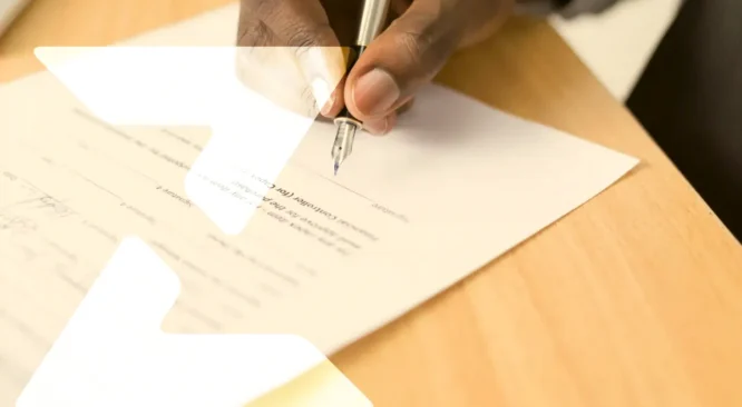 Entenda o que pode barrar sua linha de crédito na ZiliCred